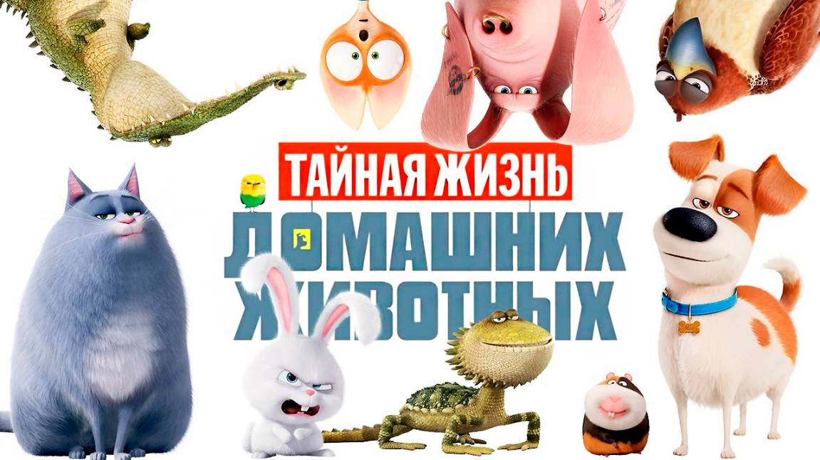 Тайная жизнь домашних животных (2016) / The Secret Life of Pets
